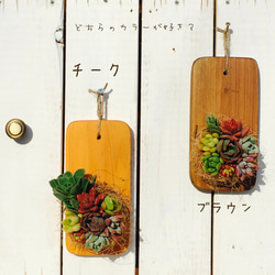 『ポストや玄関に飾って楽しもう』ぷくぷく多肉の表札タブロー 3枚目の画像