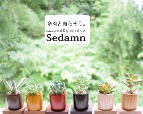 0_8e8d2ad00d224dfa7e5e218e1455