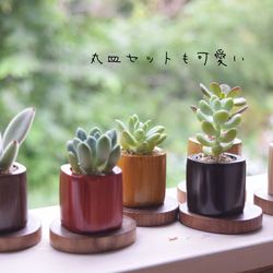 【母の日に"ありがとう"伝える特別なギフト】まるで陶器の様な美しさ✨ウッドキューブSmall(小)6色+下皿6材種セット 2枚目の画像