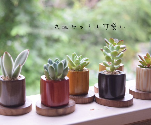 【母の日に"ありがとう"伝える特別なギフト】まるで陶器の様な美しさ✨ウッドキューブSmall(小)6色+下皿6材種セット 2枚目の画像