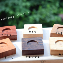 ちょこんと飾れる緑のインテリア✨ウッドキューブSmall(小)6色+下皿6材種セット 4枚目の画像