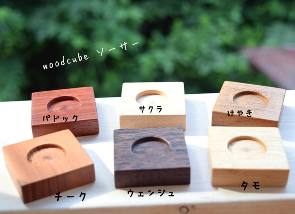 ちょこんと飾れる緑のインテリア✨ウッドキューブSmall(小)6色+下皿6材種セット 4枚目の画像