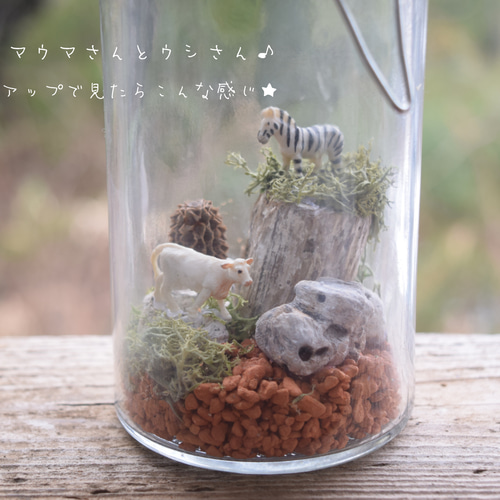 完売」【1点物】ドライフラワーのボトルテラリウム テラリウム 多肉