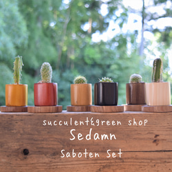 貴婦人のカルトナージュボックス　(ケースロック付き) 貴婦人のカルトナージュボックス (ケースロック付き) インテリア小物