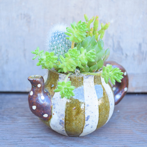 完売」笠間焼人気作家 阿部誠さんと多肉コラボ マグカップ 多肉植物