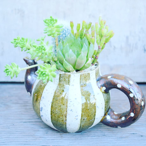 完売」笠間焼人気作家 阿部誠さんと多肉コラボ マグカップ 多肉植物