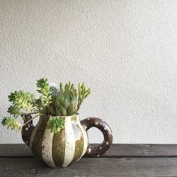 笠間焼人気作家 阿部誠さんとSedamnコラボ寄せ植え!!「急須にハオ寄せ