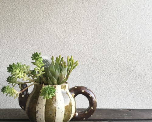 笠間焼人気作家 阿部誠さんとSedamnコラボ寄せ植え!!「急須にハオ寄せ