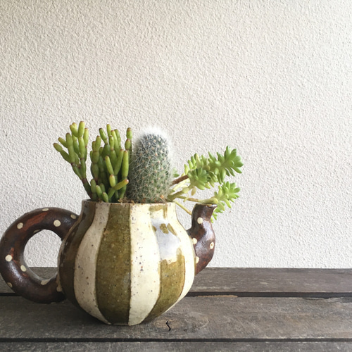 笠間焼人気作家 阿部誠さんとSedamnコラボ寄せ植え!!「急須にハオ寄せ