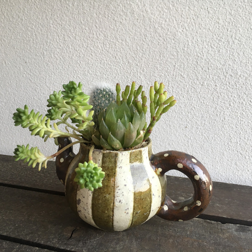 笠間焼人気作家 阿部誠さんとSedamnコラボ寄せ植え!!「急須にハオ寄せ