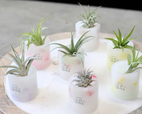 キャンドルホルダー　エアプランツホルダー　ティーライトキャンドル　ウッドレジン ee51df8c41f72089640a60362310f4