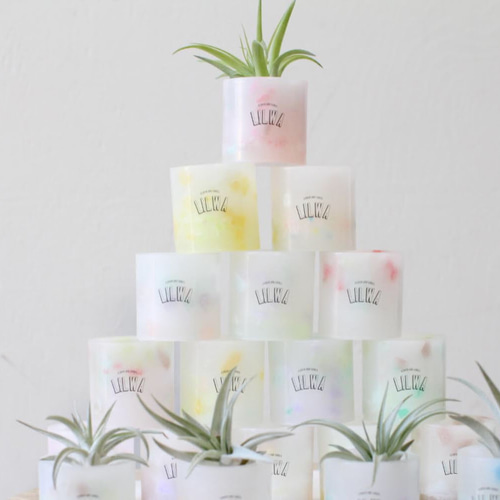 キャンドルホルダー　エアプランツホルダー　ティーライトキャンドル　ウッドレジン ee51df8c41f72089640a60362310f4