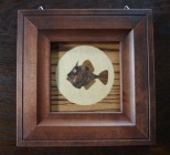 木象嵌額絵～カワハギ～