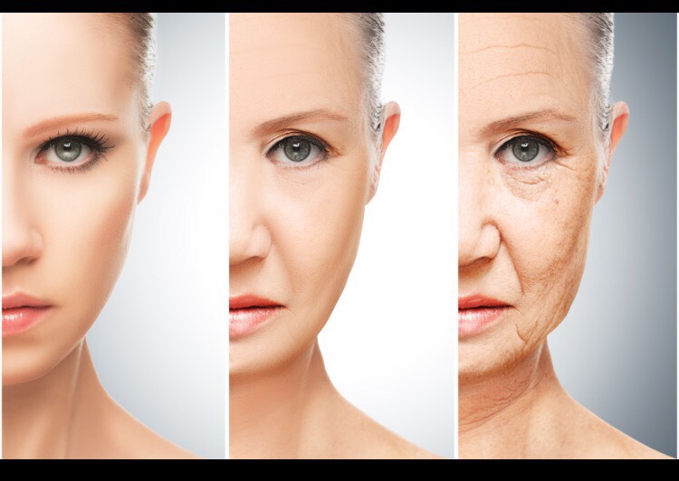 INTROSTEM アンチエイジング　目もと美容液 Amazon.com: Introstem Stem Cell Eye Serum 30ml / 1fz.oz : Beauty