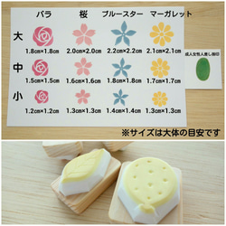  第2張的照片