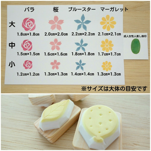  第2張的照片