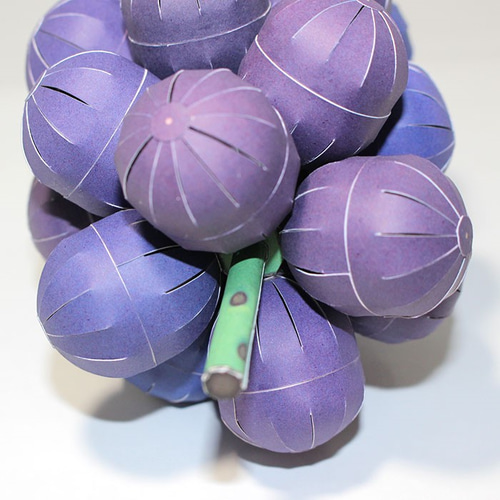 ペーパークラフト 巨峰 キット minichal 通販 2253234｜Creema(クリーマ)