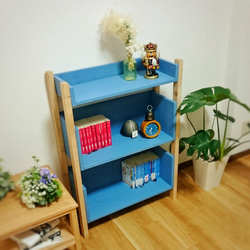 A display shelf 1枚目の画像