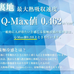 New✨サイズ変更ok❣️ 接触冷感❄️シルクプロテイン配合美肌プリーツレースマスク　グレー　シンプル 10枚目の画像