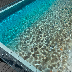 センターテーブル  モルジブの海 ハウスリーフ  コバンアジ 波紋 水面 水中 5枚目の画像