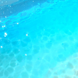 センターテーブル  モルジブの海 ハウスリーフ  コバンアジ 波紋 水面 水中 7枚目の画像