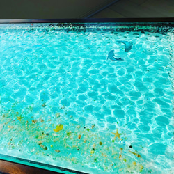 新作 折りたたみガラスセンターテーブル   浅瀬のドルフィン 波紋 水面 揺らめきの海 6枚目の画像