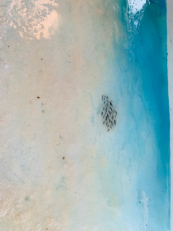 はせぱんだ様専用  センターテーブル  モルジブの海 ハウスリーフ  お魚の群れと波紋 水面 水中 3枚目の画像
