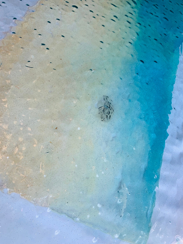 はせぱんだ様専用  センターテーブル  モルジブの海 ハウスリーフ  お魚の群れと波紋 水面 水中 5枚目の画像