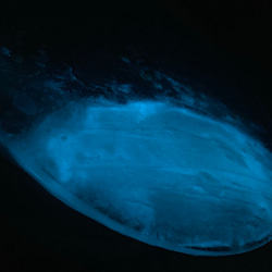 ガラスサイドテーブル ホワイトムーンビーチ 夜光虫 イルカとベイトフィッシュ ガラスサイドテーブル丸 〜Minamo〜 4枚目の画像