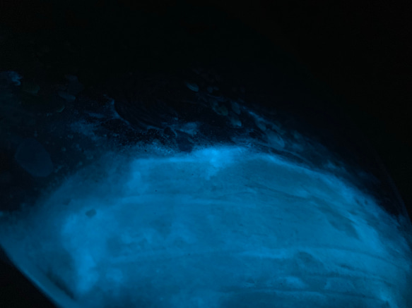 ガラスサイドテーブル ホワイトムーンビーチ 夜光虫 イルカとベイトフィッシュ ガラスサイドテーブル丸 〜Minamo〜 5枚目の画像