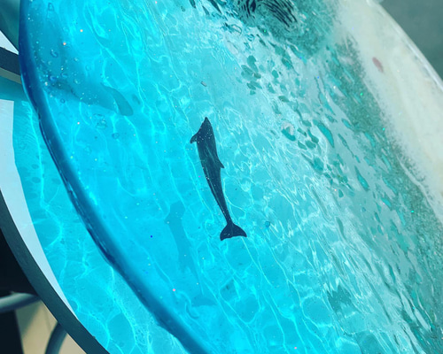 ホワイトビーチワールド イルカとベイトフィッシュ ガラスサイド
