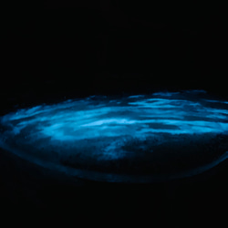 ぶっち様専用  ガラスサイドテーブル ホワイトムーンビーチ 夜光虫 イルカのファミリーとベイトフィッシュ 4枚目の画像