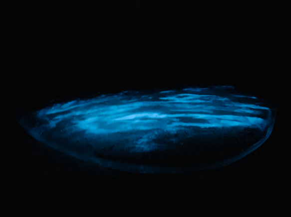 ぶっち様専用  ガラスサイドテーブル ホワイトムーンビーチ 夜光虫 イルカのファミリーとベイトフィッシュ 4枚目の画像