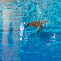 ゆかり様専用　壁飾りパネル エメラルドブルーの海とカメ　砂浜 天国に一番近い島 ビーチ120×60 1枚目の画像