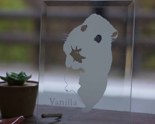 1_59d3acfc2a080324016f37e2a866