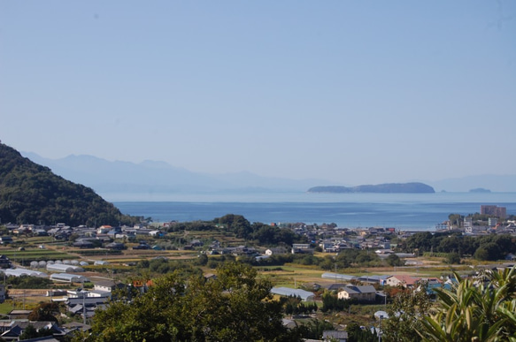 完全非加熱「生はちみつ・百花」 8枚目の画像