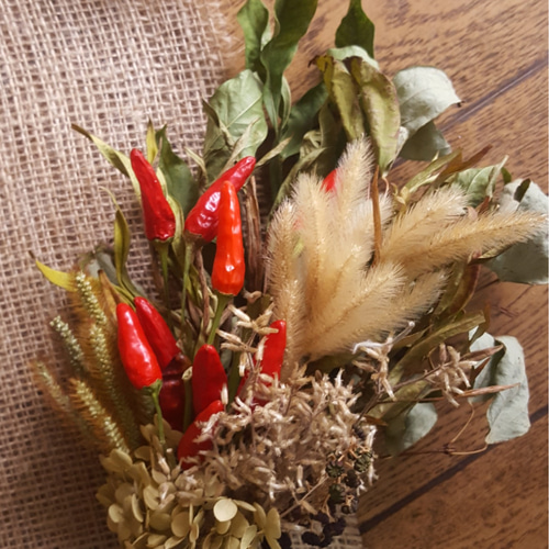 ドライフラワー ～唐辛子の素朴なスワッグ～ ドライフラワー はなさか