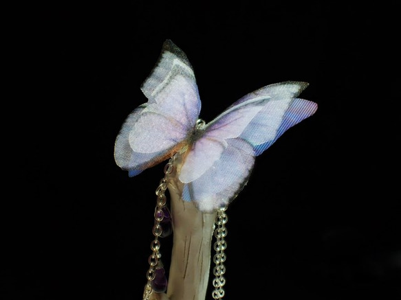 ～ Papilionoidea【Astra】～ 3枚目の画像