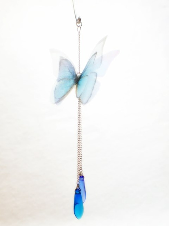 ～ Papilionoidea【Ales】～ 2枚目の画像