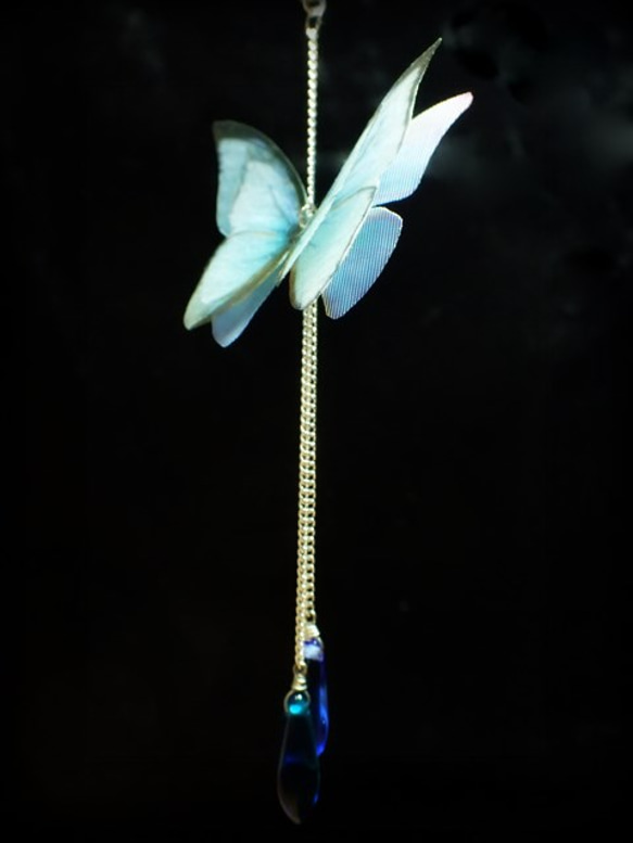 ～ Papilionoidea【Ales】～ 3枚目の画像