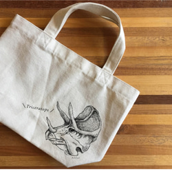 0_44ae1c190dfedcffff9bffbf3578