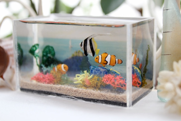 小丑anemonefish微型水族館/寶物箱水 第2張的照片