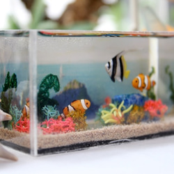 小丑anemonefish微型水族館/寶物箱水 第3張的照片