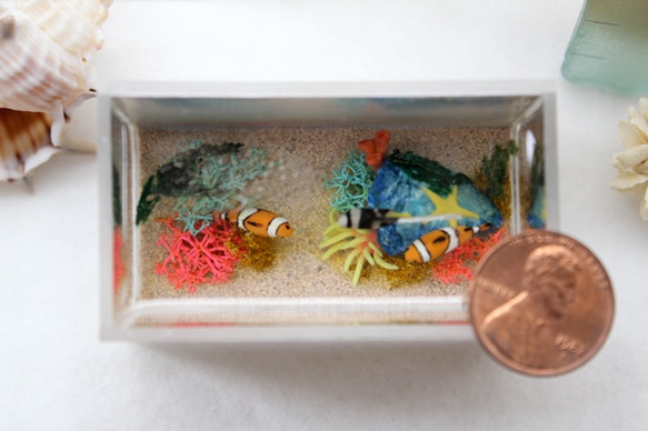 小丑anemonefish微型水族館/寶物箱水 第4張的照片