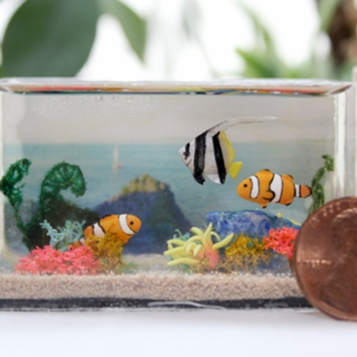 カクレクマノミたちのミニチュアアクアリウム/水の宝箱 その他置物 