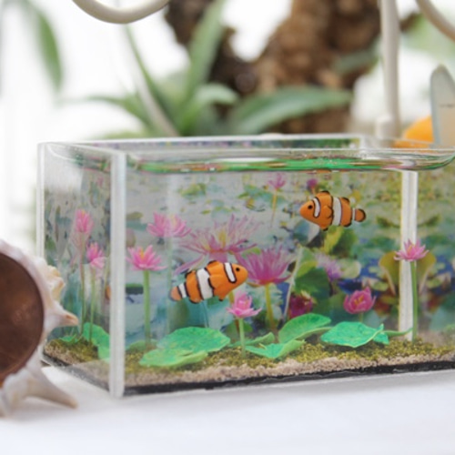 カクレクマノミのミニチュアアクアリウム/水の宝箱 その他置物 Regalo 
