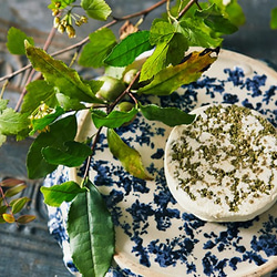 CHOICE FROMAGE 『KOTO（古都）』 1枚目の画像