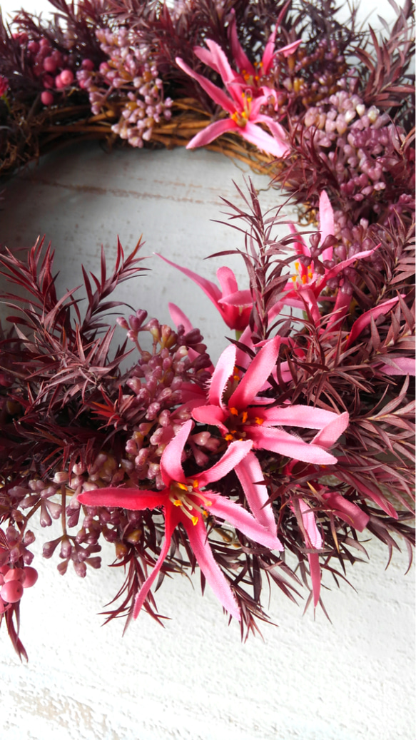ティーツリー・メラレウカとネリネのリース ～赤茶とピンク・26㎝～ 2枚目の画像