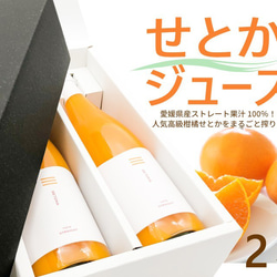 「せとかジュース」２本セット　(720ml×2本)(化粧箱入り)【贈り物・贈答用・ギフト】 1枚目の画像