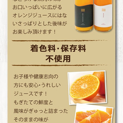 「紅まどんな＆せとかジュース」２本セット　(720ml×2本)(化粧箱入り)【バレンタイン・お礼・ギフト】 2枚目の画像